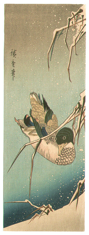 Utagawa Hiroshige: Mallard in Snowy Pond - Artelino