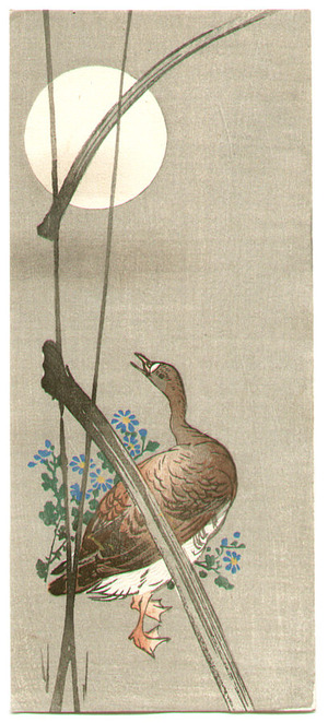 Unknown: Wild Duck, Reed and Full Moon - Artelino