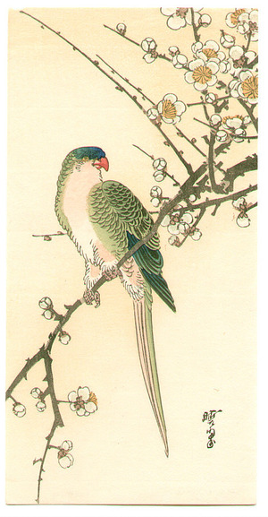 Unknown: Parrot and Plum - Artelino