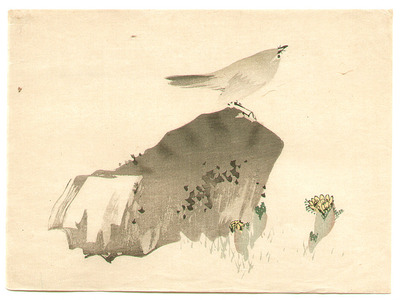 Unknown: Bird on a Rock - Artelino