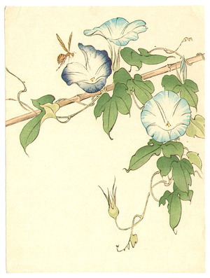 無款: Morning Glories and Bee - Artelino