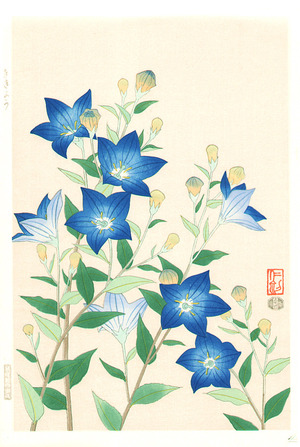 Ito Nisaburo: Blue Baloonflower - Artelino