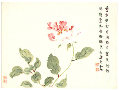 Komuro Suiun: Pink and white Flower - Artelino