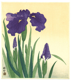 Ohara Koson: Flowering iris - Artelino