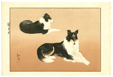 Unknown: Two Sheep Dogs - Artelino