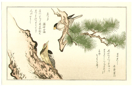 Kitagawa Utamaro: Woodpecker Gosbeak - Artelino