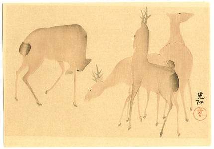 Ogata Korin After: Deer and Spring Flowers - Artelino