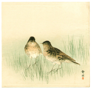 静湖: Two Birds in the Grass - Artelino