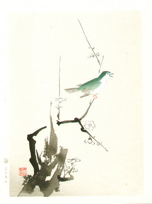無款: Bush Warbler and Plum Tree - Artelino