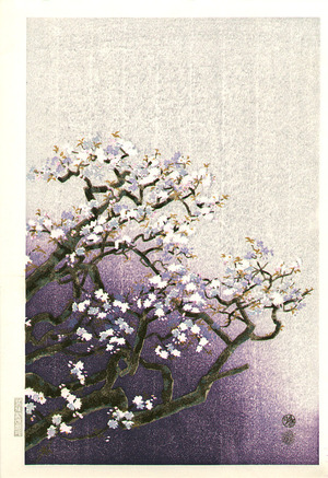 Kotozuka Eiichi: Cherry Blossoms - Artelino