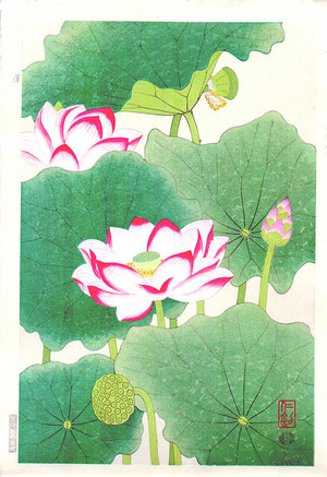 Ito Nisaburo: Lotus - Artelino