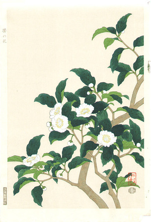 Ito Nisaburo: Tea Flower - Artelino