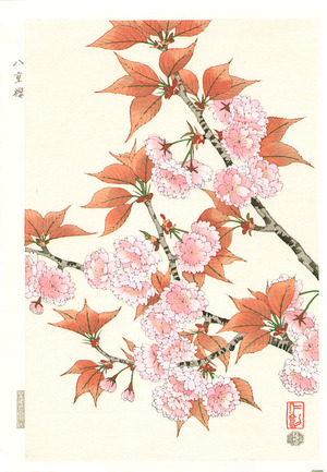 Ito Nisaburo: Double Cherry Blossoms - Artelino