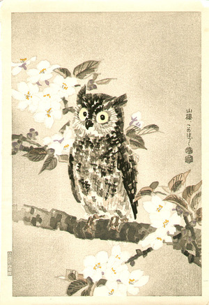 Kotozuka Eiichi: Owl and Cherry Blossoms - Artelino