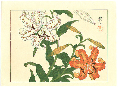酒井抱一: Lilies and Lotus - Two oban sheets - Artelino