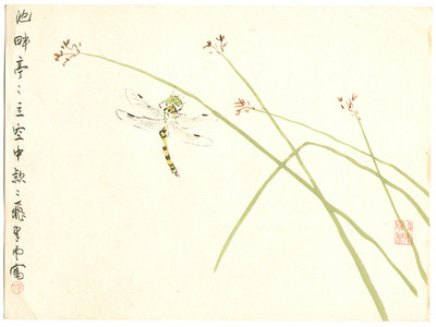 Komuro Suiun: Dragonfly - Artelino