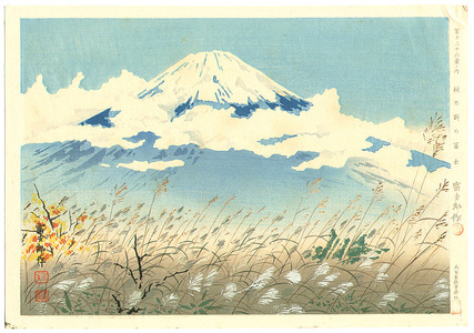 徳力富吉郎: Thirty-six Views of Mt.Fuji - Artelino
