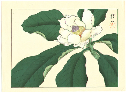 Sakai Hoitsu: Magnolia - Artelino