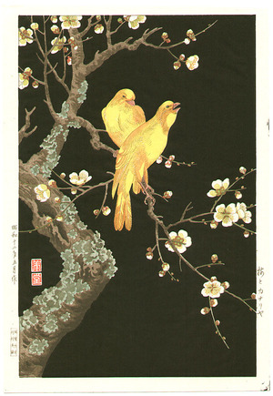 Nishimura Hodo: Canaries at Night - Artelino