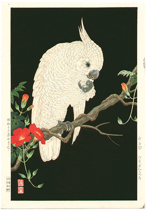 Nishimura Hodo: Cockatoo - Artelino