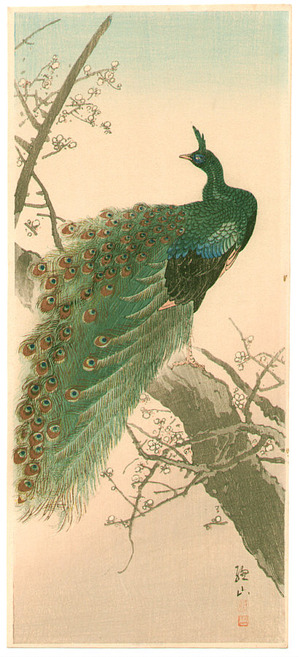 Ito Sozan: Peacock - Artelino