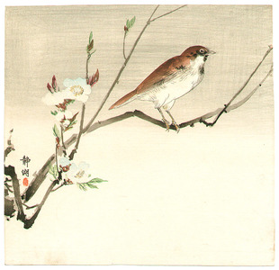 Seiko: Bird and Cherry Blossoms - Artelino