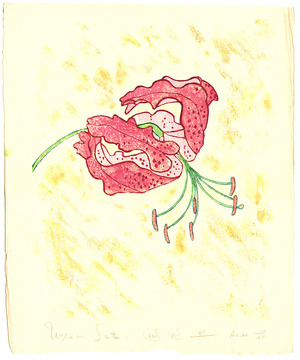 Japanese Print "Lily" by Unknown, 無款 (null)