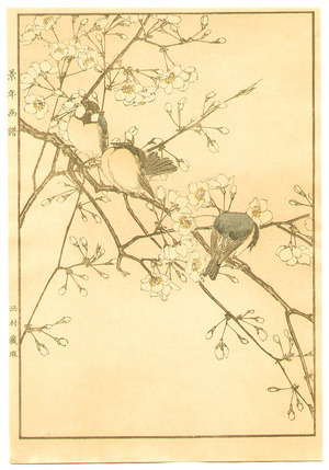 今尾景年: Birds and Cherry Blossoms - Artelino