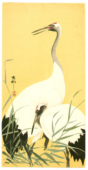Ohara Koson: Two Cranes - Artelino