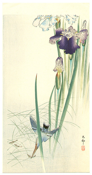 Ohara Koson: Iris and Kingfisher - Artelino