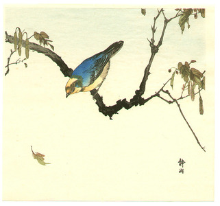 静湖: Blue and Yellow Bird - Artelino