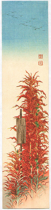 Koho: Red Amaranth - Artelino