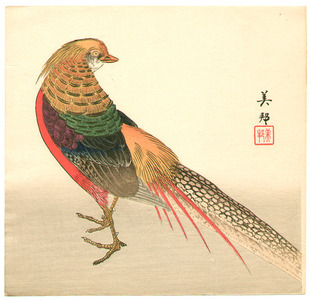 Hirose Biho: Chinese Pheasant - Artelino