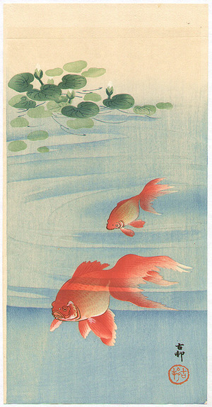 Ohara Koson: Two Goldfish - Artelino
