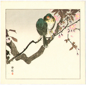 静湖: Two Green Birds on Cherry Tree - Artelino