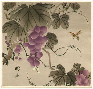 長町竹石: Grape and Wasp - Artelino