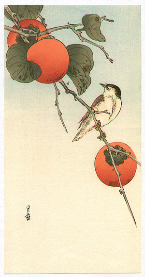 Yoshimoto Gesso: Bird and Persimmons - Artelino