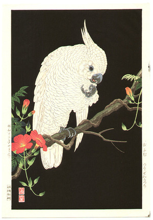 Nishimura Hodo: Cockatoo - Artelino