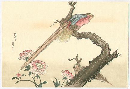 Katsushika Hokusai: Two Pheasants and Peonies - Artelino