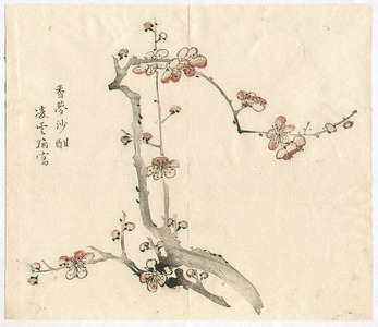 無款: Plum Tree from Ten Bamboo Studio - Artelino