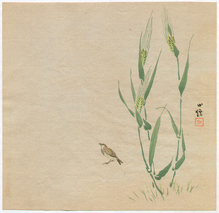Hasegawa Konobu: Sparrow and Wheat - Artelino