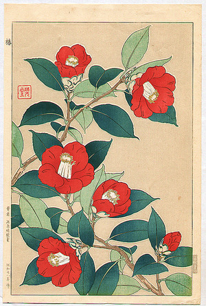 Kawarazaki Shodo: Red Camellia - Artelino