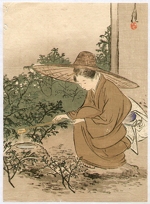 Ogata Gekko: Bijin Preparing Tea Ceremony - Artelino