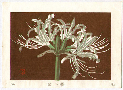 Maeda Masao: White Flower - Artelino