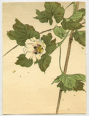 日本版画 "Flower in the Wind" 由 Unknown, 無款 (null) 创作