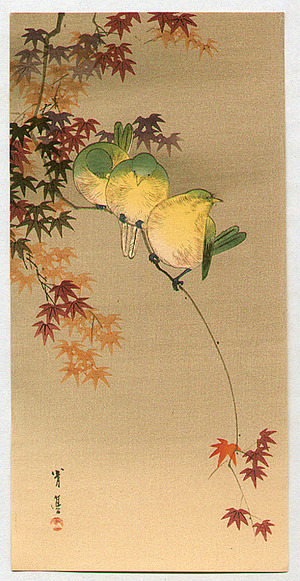 Watanabe Seitei: Green Birds on Maple - Artelino