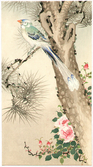 Unknown: Paradise Bird on Pine - Artelino