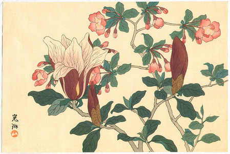 Ogata Korin After: Magnolia and Japanese Quince - Artelino