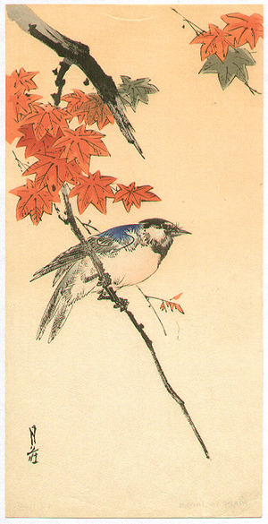Yoshimoto Gesso: Blue Bird on Maple Branch - Artelino