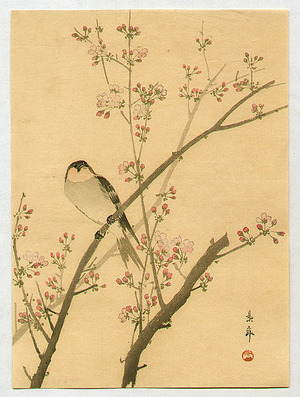 Imao Keinen: Bird on Cherry Tree - Artelino